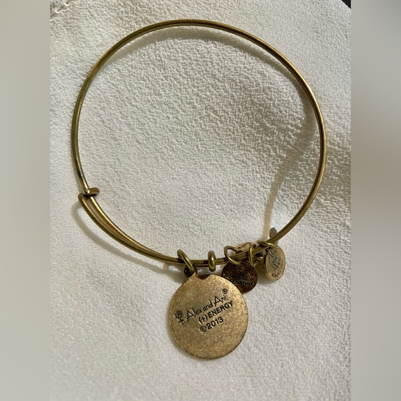Lot of 14 ALEX & ANI meaningful bracelets, entire lot $121 (total value of $797) - Picture 9 of 14
